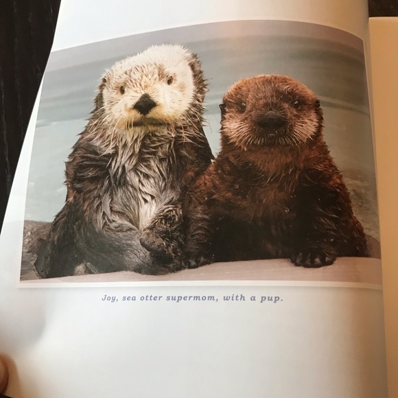 Book “ Unlikely Heroes” by Jennifer Holland - Picture 6 of 10